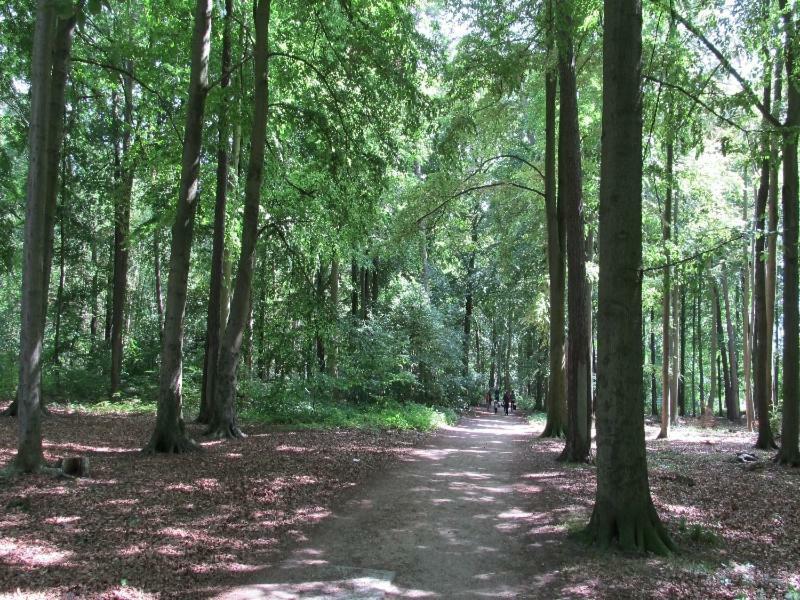 “Haus Am Kuestenwald” Ferienwohnungen Graal-Mueritz Dış mekan fotoğraf